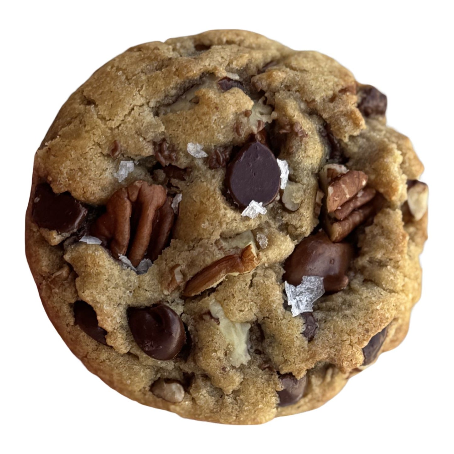 Dozen Chocolate Chip Pecan Cookies