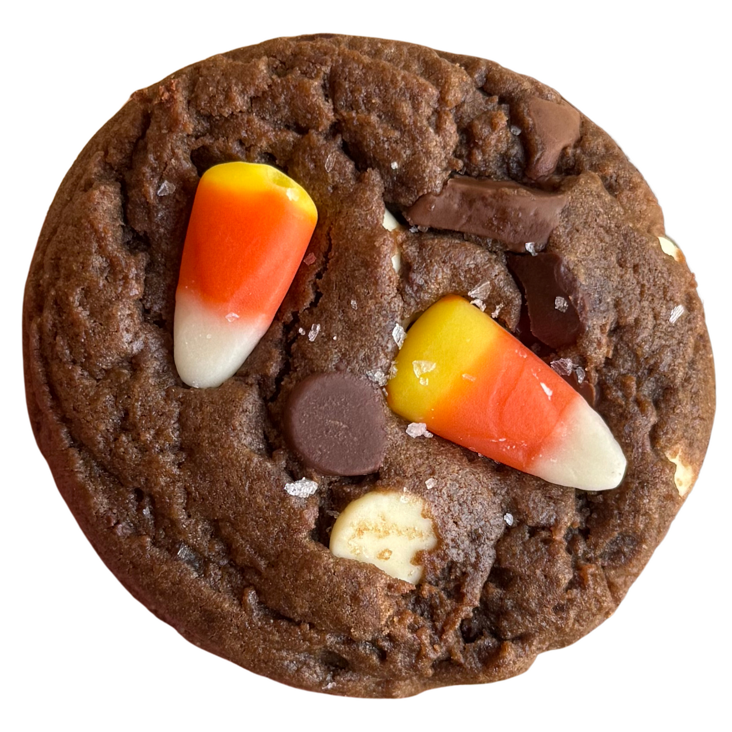 Dozen Double Chocolate Chip Cookies